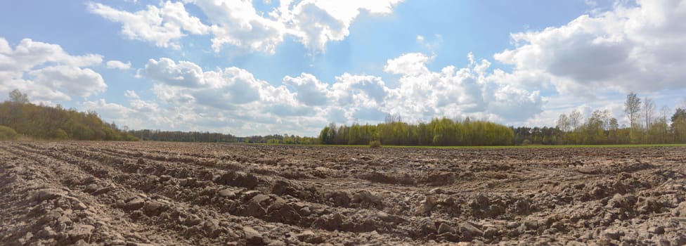 agricultural field, nature and agriculture farming series