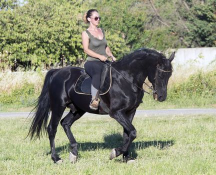 riding girl on a black stallion in nature