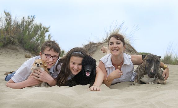 family with three dogs on the beach