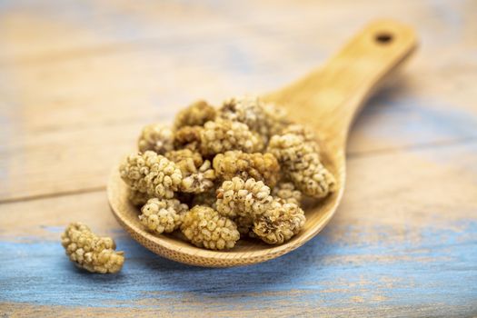 sun-dried white mulberry berries on a wooden spoon against grunge wood, selective focus