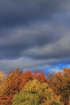 Heavy dark storm clouds over a forest with the colors of autumn.
