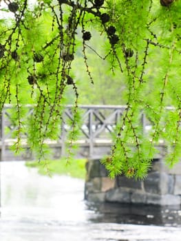 the bridge over the river on the background of nature