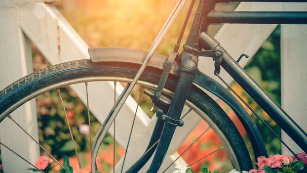 Vintage bicycle summer on the garden background.