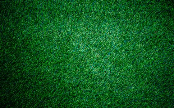 Green grass natural background texture.fresh green grass.beautiful background