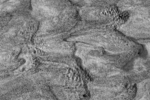 Black and white photo of the sandy bottom of a shallow river, made by a layer of flowing water. Very interesting naturel background and textutre. Horizontal view