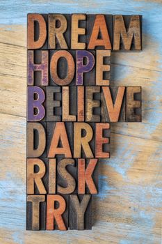 dream, hope, believe, dare, risk and try - inspirational word abstract - text in vintage letterpress wood type printing blocks