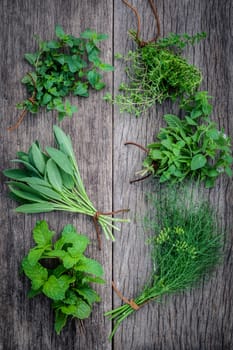Various aromatic herbs and spices from garden  green mint ,fennel ,oregano, sage,lemon thyme and peppermint set up on old wooden background .