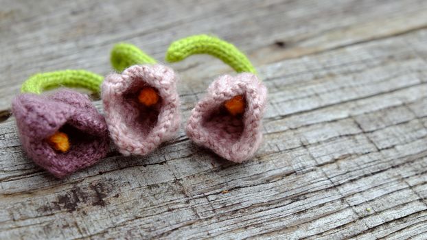 Knitted tulip flower on old wooden background in vintage color, knit is hobby leisure for who like make handmade from yarn