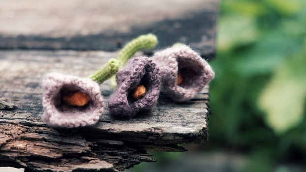 Knitted tulip flower on old wooden background in vintage color, knit is hobby leisure for who like make handmade from yarn
