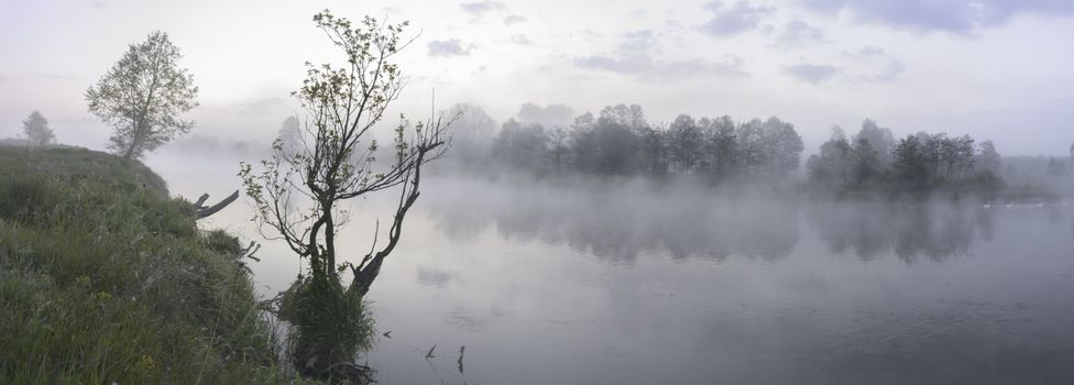 landscape with natural river, nature series