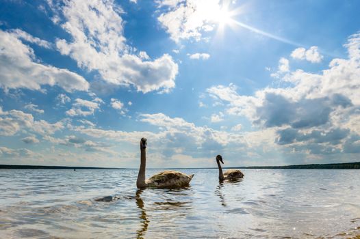 blue sky, natural clouds, nature series