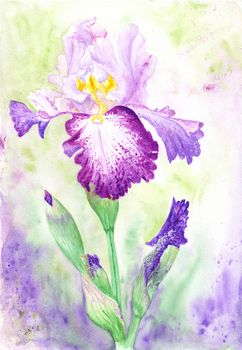 High quality detailed hand-painted blossoming flower painting