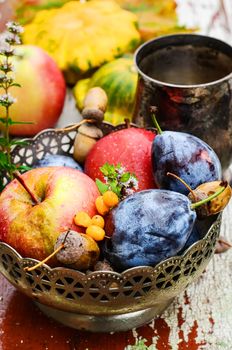Stylish metal bowl with apples,plums and acorns in the autumn still life