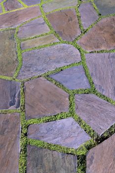 Garden stone path with grass