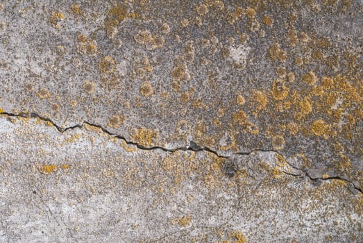 fragment of a concrete wall, which has undergone deformation due to prolonged exposure to various climatic conditions