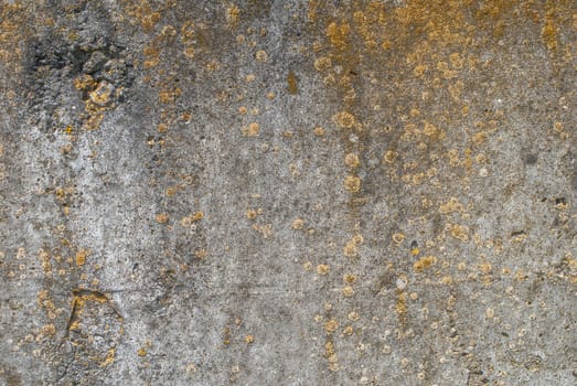 fragment of a concrete wall that for a long time exposed to different climatic conditions