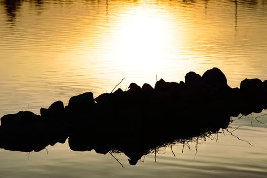 Bright yellow sunset reflected in calm water and back lit rocks with twigs sticking up as an abstract nature background