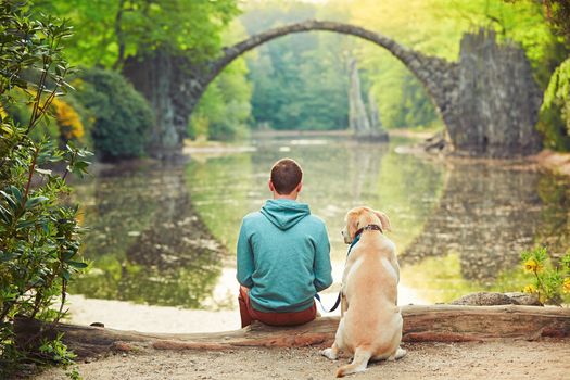 Pensive young man sitting on the pond bank with a his dog - Amazing place in Germany. Rakotzbrucke also known as Devils Bridge in Kromlau. 