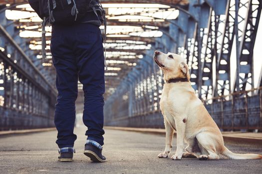 Man walking with his yellow labrador retriever on the old bridge