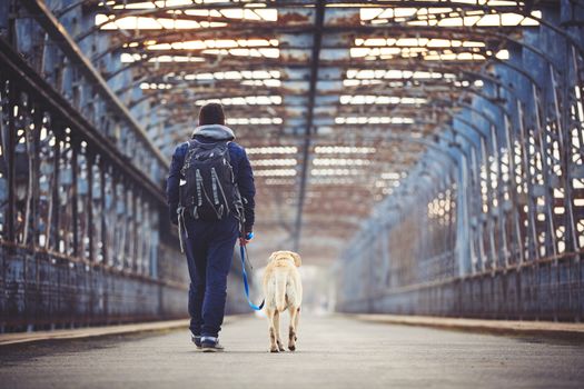 Man walking with his yellow labrador retriever on the old bridge