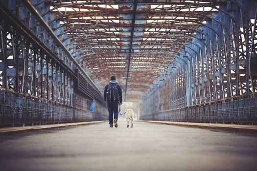 Man walking with his yellow labrador retriever on the old bridge