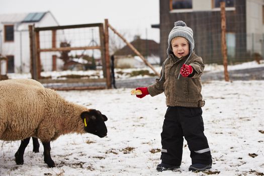 Little boy on the farm in winter