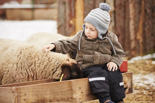 Little boy on the farm in winter