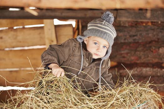 Living in the farm. Little boy on straw.