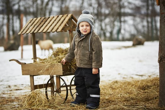 Little boy on the farm in winter