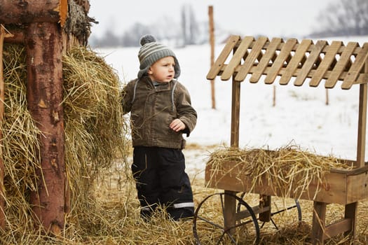 Little boy on the farm in winter