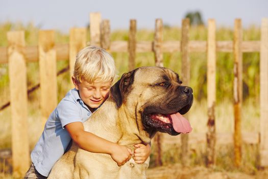 Little boy is playing with his large dog.