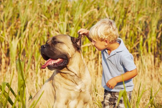 Little boy is playing with his large dog.