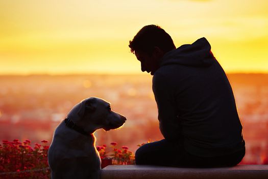 Young man with his dog at the sunrise.