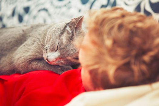 Young man with his russian blue cat at the home