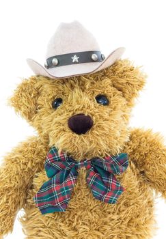 Close up cowboy teddy bear on white background