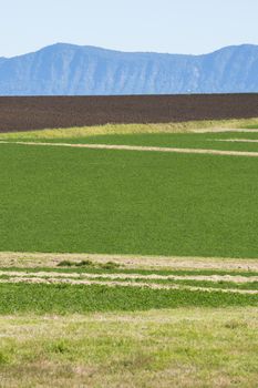 Country agricultural and farming field in Queensland during the day.