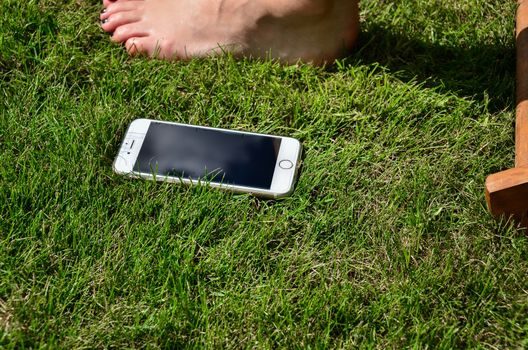 Women playing mobile phone in the garden during sunny day.