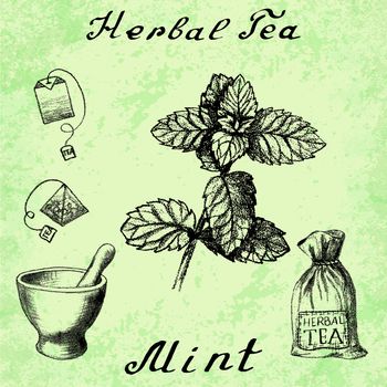 Herbal tea, mint, mortar and pestle, bag, tea bag. Vector hand drawn illustration. Botanical drawing. Pencil drawing