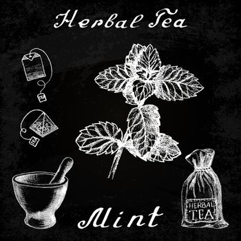 Herbal tea, mint, mortar and pestle, bag. Vector hand drawn illustration. Chalk board. Botanical drawing. Pencil drawing