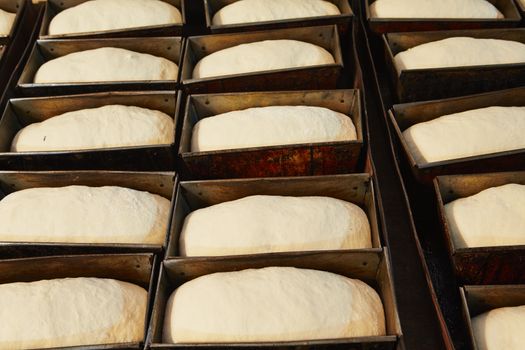 Traditional preparation of bread in the bakery.