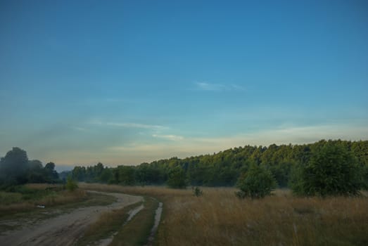 country road leading up to the horizon line , nature series