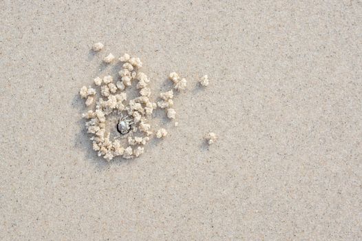 fine sand and the crab hole
