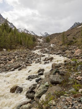 The mountain river, against the woody mountains, originating from a thawing glacier. Western Siberia, Altai mountains.