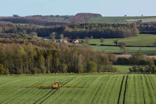 Agriculture - Spraying fertilizer on wheat crop in the North Yorkshire countryside - England.