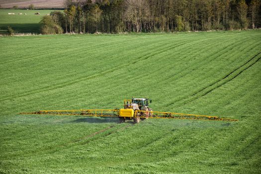 Agriculture - Spraying fertilizer on wheat crop - North Yorkshire - England.