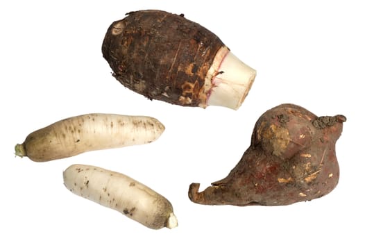 Chinese Reddish, Sweet Potato and Taro Root Isolated