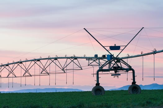 getting the crops to grow a sprinkler is on the farm