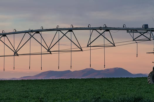 mountains make a scenic backdrop to the crops of the farm