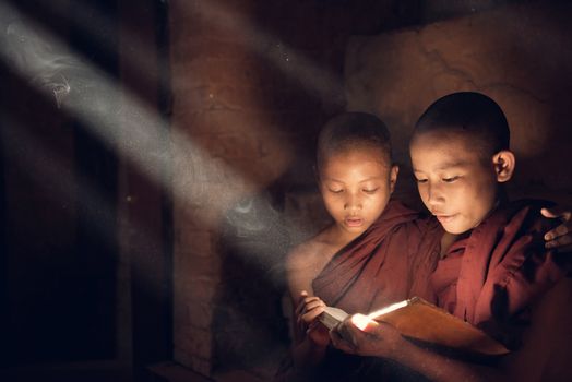 Southeast Asian novice monk reading book inside monastery, beautiful natural light shining thru.