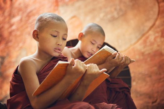Young Buddhist novice monk reading and study outside monastery, Myanmar.